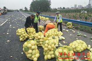 郯城吃瓜群众,揭秘当地独特民俗风情