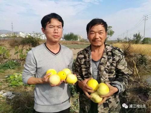 吃瓜群众漳浦,吃瓜群众眼中的魅力之城