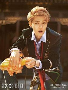 客串吃瓜群众,吃瓜群众视角下的娱乐圈风云录