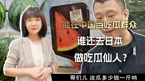 吃瓜群众片子视频大全集,揭秘热门视频背后的故事与真相