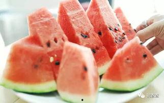 吃瓜群众挖野菜,探寻民间美食的绿色之旅