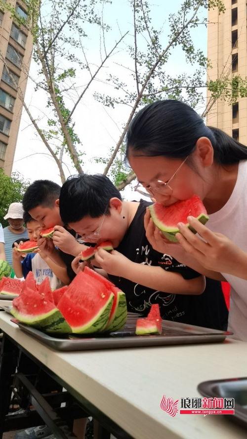 湾区吃瓜群众,揭秘娱乐圈幕后风云