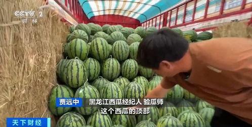 吃瓜群众钱挣的多少菜,揭秘不同收入水平的吃瓜群众生活