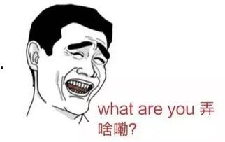 吃瓜群众的眼睛视频播放,吃瓜群众视角下的热门视频盘点