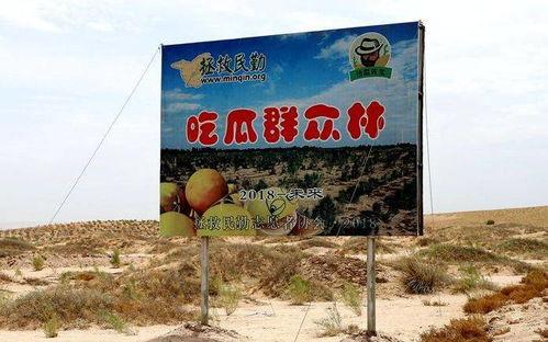 甘肃文旅当吃瓜群众,探寻丝绸之路上的瓜香之旅