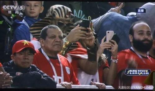 看世界杯吃瓜群众,看球吃瓜，全民狂欢记