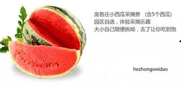 仙女味的吃瓜群众,揭秘娱乐圈幕后故事