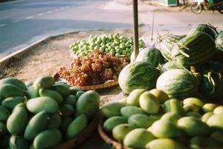 来自广西的吃瓜群众叫什么,揭秘瓜界风云