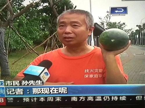 爆炸事件吃瓜群众,吃瓜群众视角下的现场直击与热议