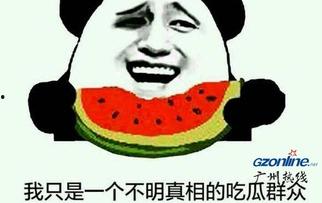 吃瓜群众选哪种,揭秘热门话题背后的真相与观点