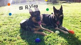 吃瓜群众们的vlog,揭秘吃瓜群众们的Vlog生活