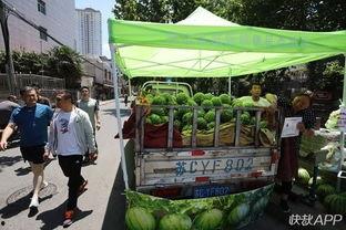 邳州邹庄吃瓜群众,吃瓜群众的夏日盛宴