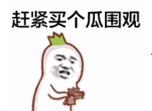 吃瓜群众李大野视频全集,揭秘娱乐圈幕后真相