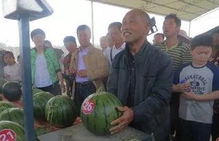 云南省富宁洞波吃瓜群众,吃瓜群众的夏日狂欢盛宴