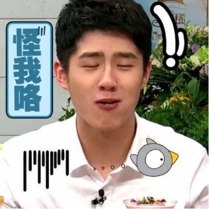 吃瓜群众刘昊然,吃瓜群众眼中的青春偶像