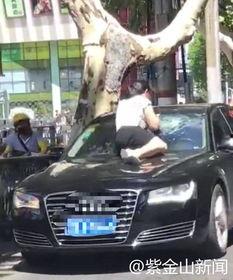 吃瓜群众抓小三完整版,一场全民参与的道德审判