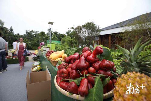 怎么进吃瓜群众官网地址,轻松获取最新资讯，畅享网络娱乐盛宴！”