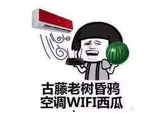 吃瓜群众多久上车