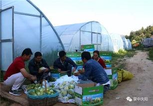 都昌吃瓜群众,揭秘当地独特饮食文化