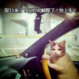 吃瓜群众想换双眼睛,看世界新视角