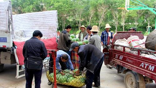 沅陵吃瓜群众事迹材料,见证时代变迁的民间英雄