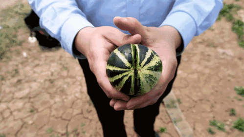 山东济宁的吃瓜群众是谁,揭秘山东济宁“吃瓜群众”背后的故事