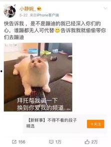 抖音最新吃瓜群众视频,最新吃瓜群众视频揭秘娱乐圈惊人内幕