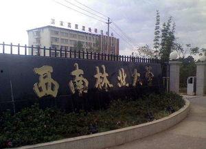 西南林业大学吃瓜群众,吃瓜群众视角下的校园生活剪影