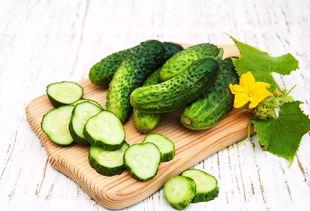 糖醋吃瓜群众,吃瓜群众乐翻天