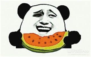 吃瓜群众黑衣小伙是谁,网络红人的崛起之路