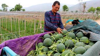 永年新鲜事吃瓜群众,吃瓜群众热议的社区热点盘点