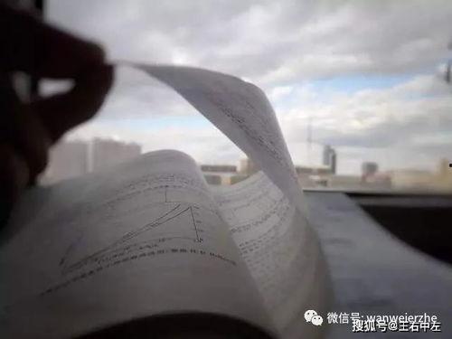 吃瓜群众专栏岱岱,揭秘娱乐圈那些吃瓜群众的幕后故事