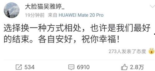 吃瓜群众说离婚,娱乐圈明星离婚背后的真相