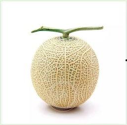 吃瓜群众头像钻石西瓜