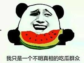 网络热词吃瓜群众解释,网络热词背后的社会现象