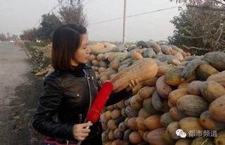 吃瓜群众茶姐,揭秘娱乐圈那些不为人知的幕后故事